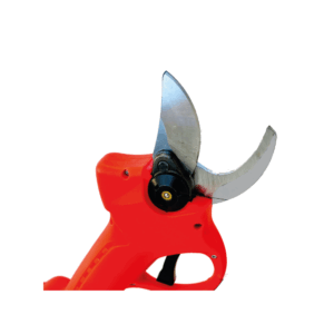 MASTER GIAL XP32 BASIC