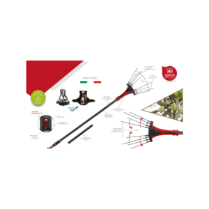 NAOMI PREMIUM 36-43V