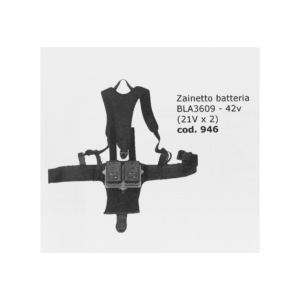 KIT BAT 4209 BATTERIE+ZAINO+CARICABATTERIE
